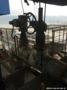 从整体市场占有率来看