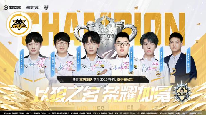 向鱼不再问水：以坚持与家人支持铸就王者荣耀